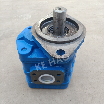 CBGJ scelgono la pompa a ingranaggi originale compatta blu chiave piana della copertura di rombo della pompa per l'organizzazione il macchinario e del veicolo