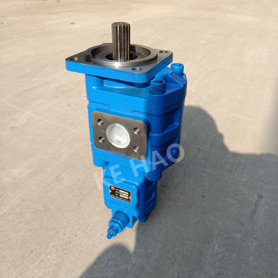 CBGJ raddoppiano la pompa a ingranaggi originale compatta blu della scanalatura della copertura del quadrato della pompa per l'organizzazione il macchinario e del veicolo