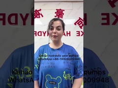 705-41-08240 caricatore a ruote 85ZA 85ZIV 90ZIV Pompa a ingranaggi / pompa a velocità variabile