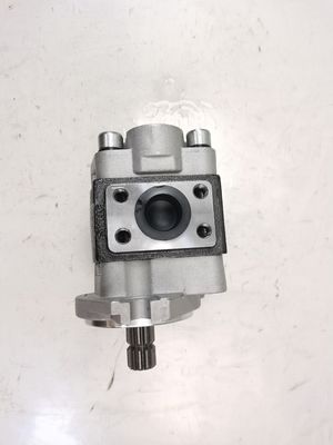qualità  Hydraulic Vane Pump CBHZA-F30-AFΦL with 1-Year Warranty and Custom OEM Parts for Construction Machinery for for Komatsu Kawasaki fabbrica