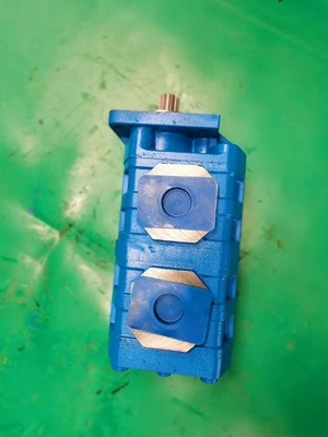 CBGJ2063+2063 2+2 14R CBGJ Original Gear Pump Ferro Aluminio Acciaio inossidabile