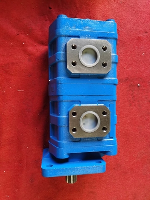 CBGJ2080+208014T L 2+2 CBGJ pompa a doppia marcia per macchine e veicoli