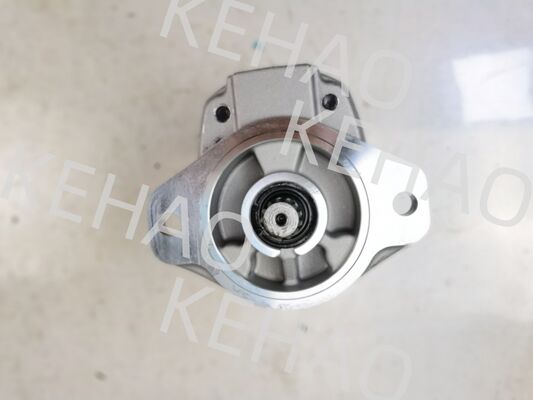 Pompa a ingranaggi idraulica serie D41, inclusi D41-45CC(R), D41-6E+40-28CCR, D41-400C(R) con portata di 1060 lpm, acciaio inossidabile AISI e 1 anno di garanzia