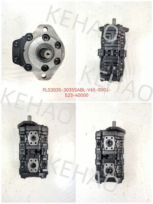 PLS Pompa di ingranaggi PLS3035-3035SABL-V65-0002-523-40000 Pompa di ingranaggi idraulici di ferro alluminio in acciaio inossidabile media alta pressione per apparecchiature Kawasaki