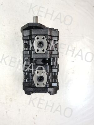 PLS Pompa di ingranaggi PLS3035-3035SABL-V65-0002-523-40000 Pompa di ingranaggi idraulici di ferro alluminio in acciaio inossidabile media alta pressione per apparecchiature Kawasaki