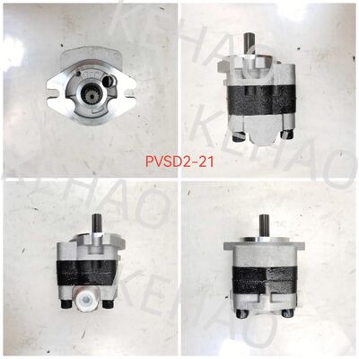 PVSD2-21 Pompa a ingranaggi idraulica Materiali in lega di ferro e alluminio Gamma per macchine edili Fornitura di fabbrica Parti idrauliche Personalizza