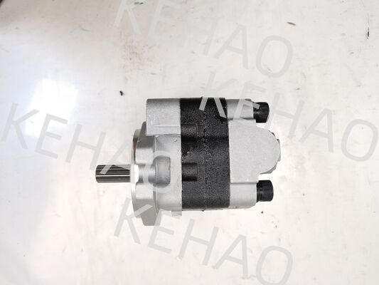 PVSD2-21 Pompa a ingranaggi idraulica Materiali in lega di ferro e alluminio Gamma per macchine edili Fornitura di fabbrica Parti idrauliche Personalizza