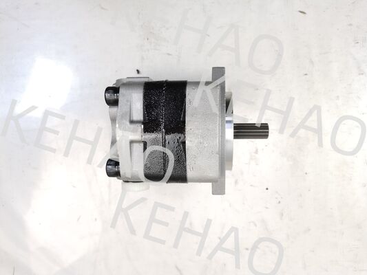 PVSD2-21 Pompa a ingranaggi idraulica Materiali in lega di ferro e alluminio Gamma per macchine edili Fornitura di fabbrica Parti idrauliche Personalizza