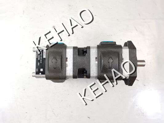 APG22-019-013-R Pompa di ingranaggi idraulici Materiali in lega di ferro e alluminio gamma per macchine da costruzione Fabbrica di fornitura Parti idrauliche Personalizzare