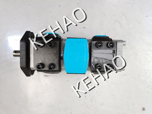 APG22-019-013-R Pompa di ingranaggi idraulici Materiali in lega di ferro e alluminio gamma per macchine da costruzione Fabbrica di fornitura Parti idrauliche Personalizzare