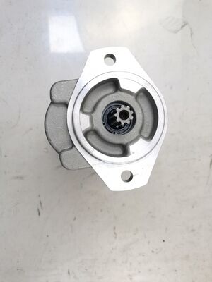 Fabbrica di fornitura pompa idraulica CBWBZ-F316-ALΦ9T Materiali in lega di ferro e alluminio Pompa di trasferimento di olio singola OEM ODM Certificazione Dispositivo di sterzo