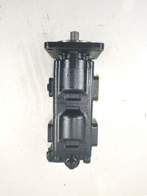 GP40.40+36R02XF/GP40+36 Doppia pompa ad alta pressione per scavatori