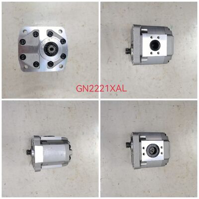 NABCO Pompa di ingranaggi Pompa idraulica GN2221XAL Materiali in leghe di ghisa e alluminio Mini pompa per fabbrica di macchinari da costruzione Fornitura un anno di garanzia