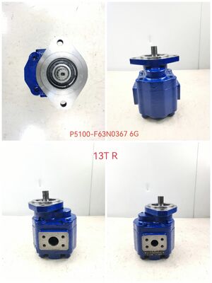 KEHAO Pompa idraulica per ingranaggi P5100-F63N03676G Riparazione Parti idrauliche Leggia di ferro fuso di alluminio Pompa di ingranaggi per petrolio per attrezzature per escavatori certificata ISO9001