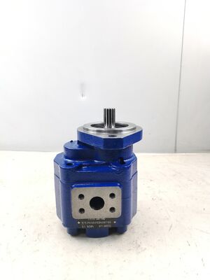 KEHAO Pompa idraulica per ingranaggi P5100-F63N03676G Riparazione Parti idrauliche Leggia di ferro fuso di alluminio Pompa di ingranaggi per petrolio per attrezzature per escavatori certificata ISO9001