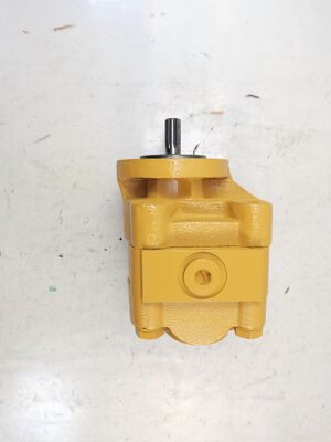 Pompa idraulica PH31-10-9T L Pompa idraulica motore ad alta pressione Leggia di ferro fuso di alluminio Pompa di olio Fonte di alimentazione Ricambi idraulici