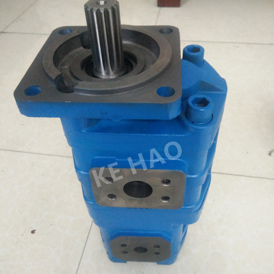 CBGJ raddoppiano la pompa a ingranaggi originale compatta blu della scanalatura della copertura del quadrato della pompa per l'organizzazione il macchinario e del veicolo