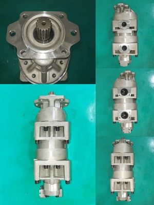 705-55-34000 POMPA ASS'Y, (SAL 100+050+063) peso della POMPA delle parti 560B di KOMATSU: 46 chilogrammi