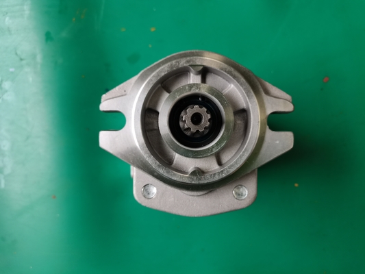 Pompa a ingranaggi del ferro SGP1-F23-ALΦ9R Siver e colore nero