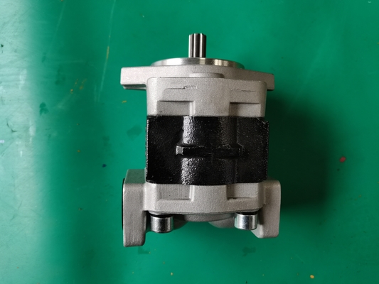 Pompa a ingranaggi del ferro SGP1-F23-ALΦ9R Siver e colore nero