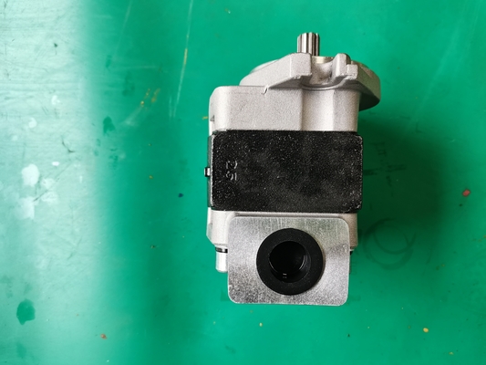 Pompa a ingranaggi del ferro SGP1-F23-ALΦ9R Siver e colore nero