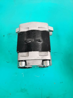 Pompe a ingranaggi commerciali dell'idraulica di SGP1-F36-ALΦ10L H D50P D50S