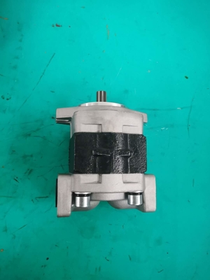 Pompa a ingranaggi idraulica SGP1A-25-AFΦ9 175-13-23500 D135A D155A