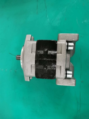 Ferro standard SGP1AF25-ALΦ9 materiale L pompa a ingranaggi