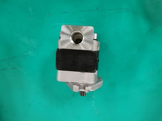 Ferro standard SGP1AF25-ALΦ9 materiale L pompa a ingranaggi