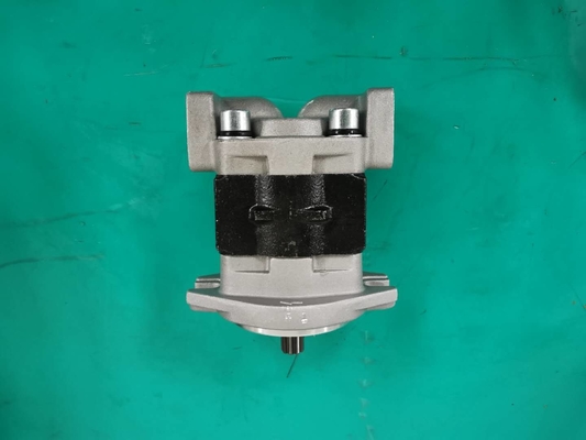 Ferro standard SGP1AF25-ALΦ9 materiale L pompa a ingranaggi