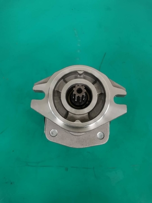 Serie Siver della pompa a ingranaggi dell'OEM SGP1AF25-ALΦ9 R SGP ed il nero